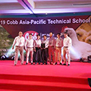 九五至尊VI-老品牌值得信任!