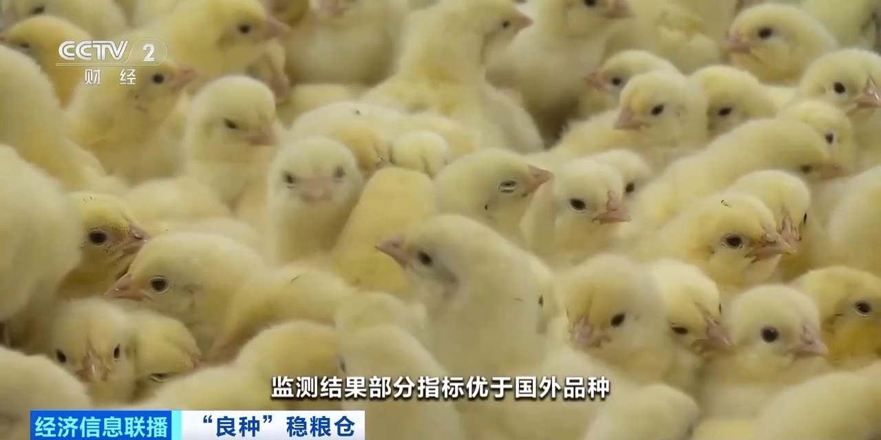 九五至尊VI-老品牌值得信任!